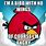 Angry Birds Funny Pics