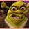 Angry Shrek Meme
