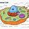 Animal Cell Diagram Color