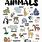 Animal Posters for Kids