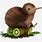 Animated Kiwi Bird
