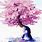 Anime Cherry Blossom Tree Drawing