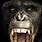 Ape Teeth
