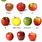 Apple's Different Colours