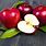 Apple Fruit 4K Image