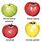 Apple Fruit Family