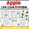 Apple Life Cycle Preschool Printable