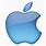 Apple iPhone 13 Logo