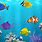 Aquarium iPhone Wallpaper