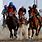 Arabian Horse Race