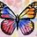 Art Painting Rainbow Butterfly