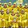 Australia Women Cricket Team Players
