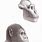 Australopithecus Garhi Skull