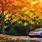 Autumn Car Wallpaper
