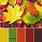 Autumn Leaves Color Palette