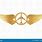 Aviation Wings Logo