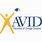 Avid Logo Designs