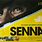Ayrton Senna Movie