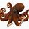 Baby Octopus PNG