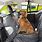 Back Seat Dog Carrier
