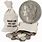Bag of Silver Coins