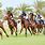 Bahrain Horse Racing