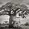 Baobab Tree Legend