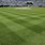 Baseball Field Grass