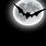 Bat Wallpaper for Desktop