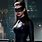 Batman Movie Catwoman Anne Hathaway