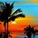 Beautiful Ocean Sunset Palm Trees