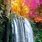 Beautiful Waterfall Scenes
