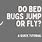 Bed Bugs Jump