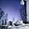 Bedroom Wall Murals for Adults