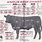 Beef Butcher Chart Cuts