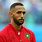 Benatia