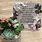 Bereavement Plants and Gifts