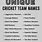 Best Cricket Team Names