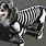 Best Dog Halloween Costumes