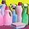 Best Household Cleaning Products