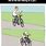 Bicycle Crash Meme