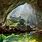 Big Cave in Vietnam
