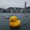 Big Rubber Ducks in Hong Kong