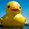 Biggest Rubber Duck