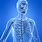 Bing Human Skeleton