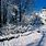 Bing Images Winter Scenes