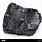 Bituminous Coal Sedimentary Rock