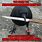 Black Bird Meme