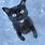 Black Cat Meow Sound