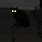 Black Cat at Night